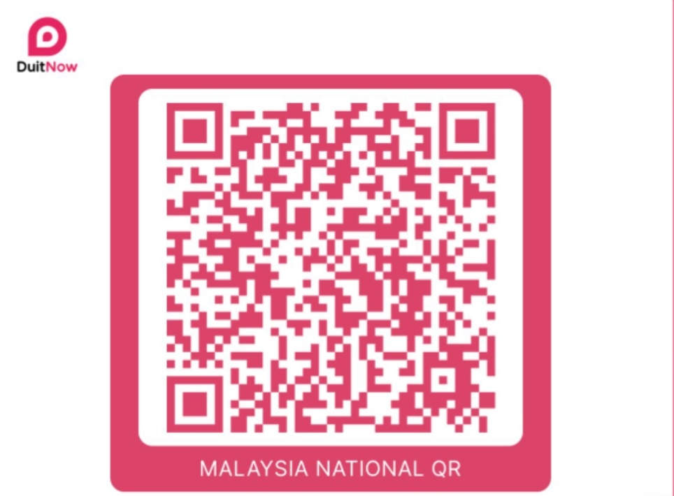 ladykid DuitNow TNG payment QR